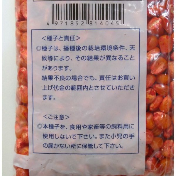 ゴールドデント|KD671