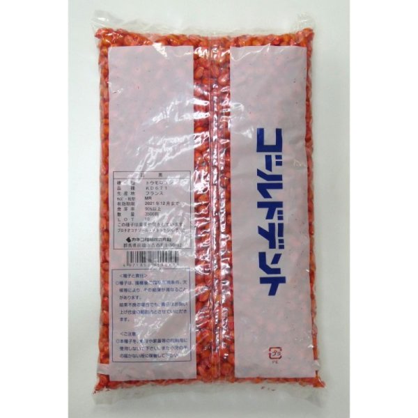 ゴールドデント|KD671