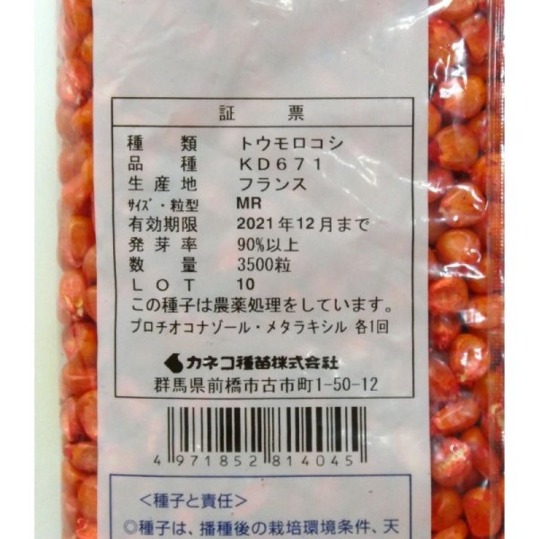 ゴールドデント|KD671