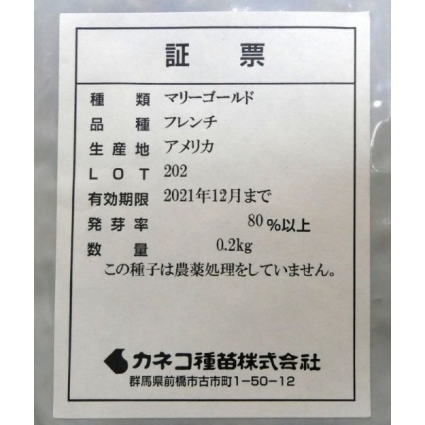 マリーゴールド|フレンチ