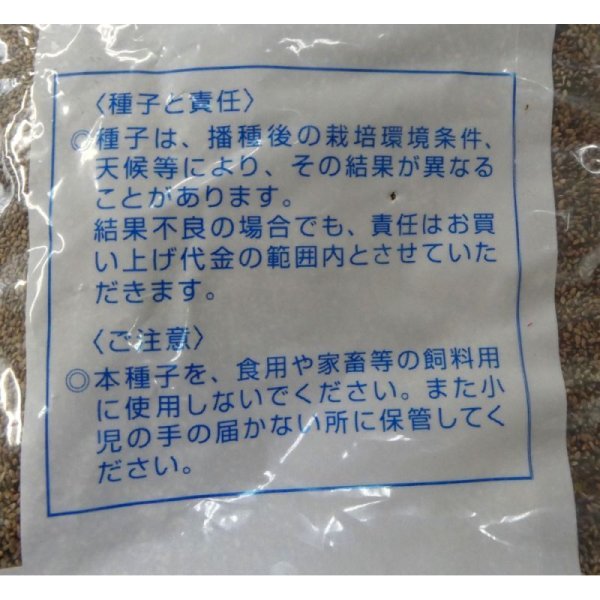 バミューダグラス 【1kg】Bermudagrass