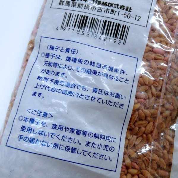 ライコムギ｜ライダックスE