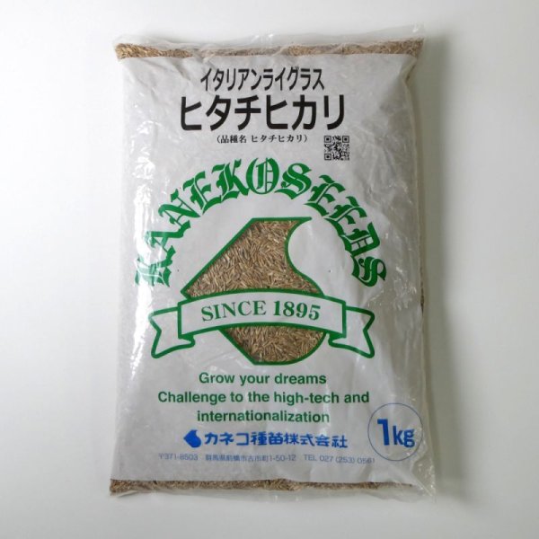 イタリアンライグラス|ヒタチヒカリ