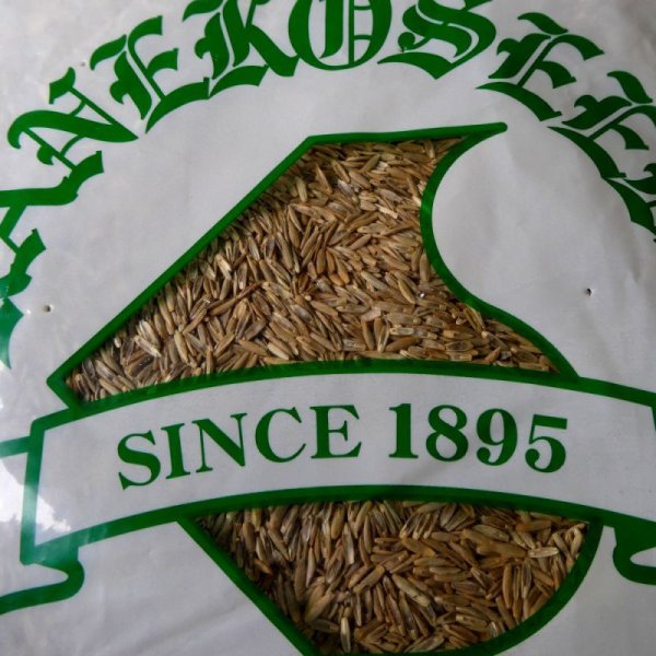 イタリアンライグラス|ヒタチヒカリ