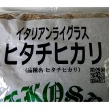 イタリアンライグラス - たまごや商店
