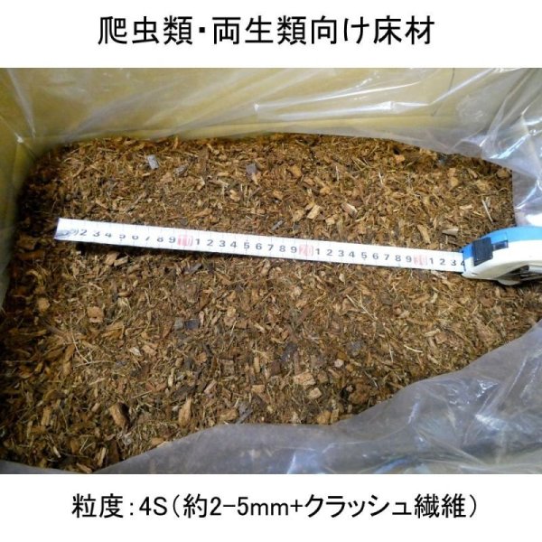 茨城小松菜箱入り-ココチップ50L|4S