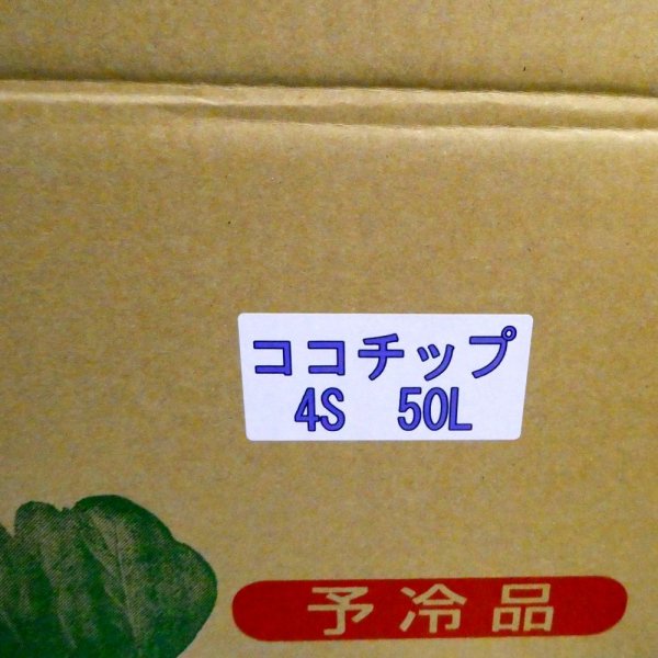 茨城小松菜箱入り-ココチップ50L|4S