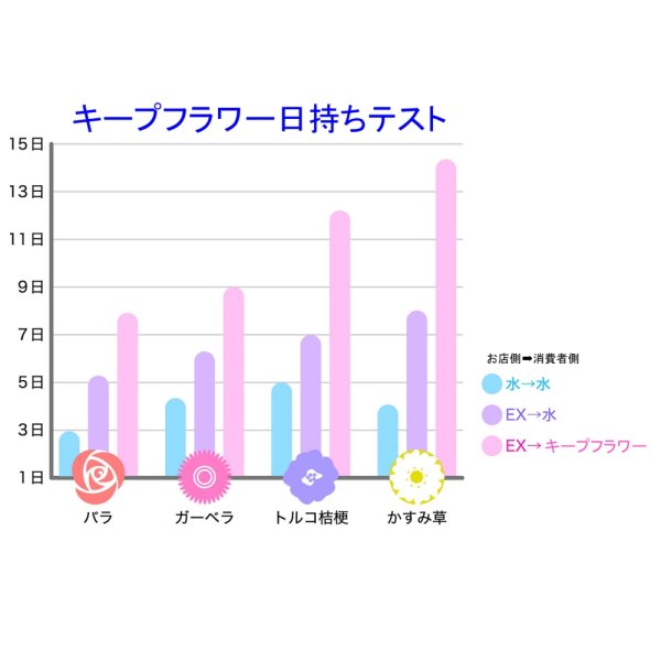 キープ・フラワーEX