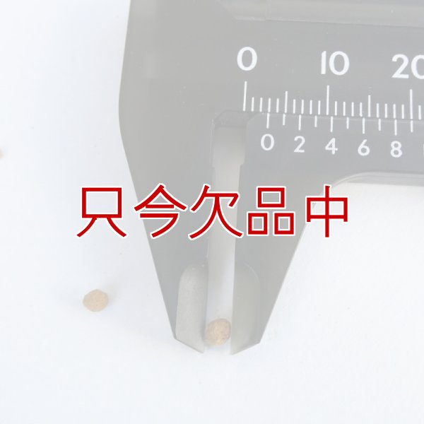 【細粒】多肉植物用赤玉土｜粒径2-3mm【2kg】