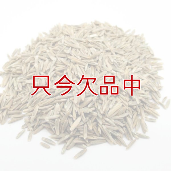 【新発売】【牧草種子】ペレニア新品種｜夏ごしペレ【1kg】