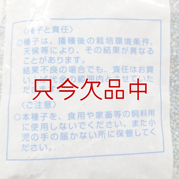 シロヒエ｜早生種【1kg】