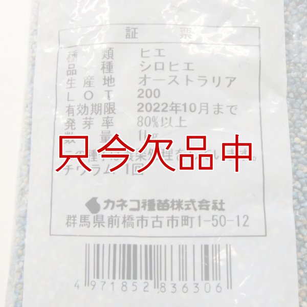 シロヒエ｜早生種【1kg】