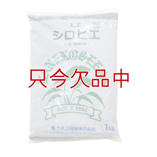 シロヒエ｜早生種【1kg】