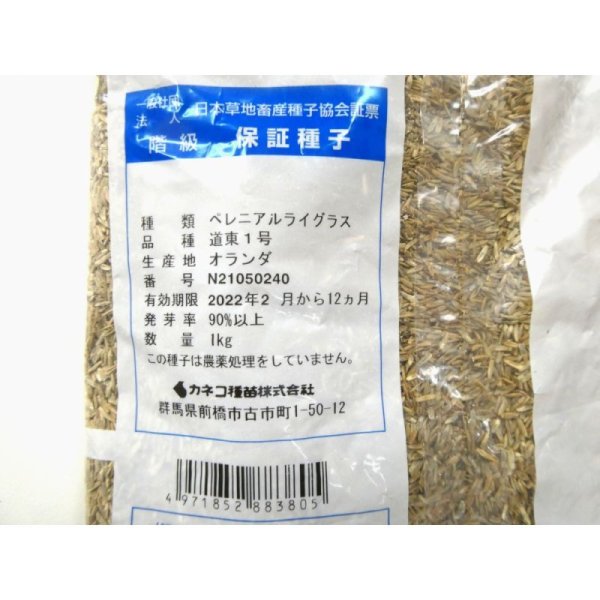 ペレニアルライグラス道東1号