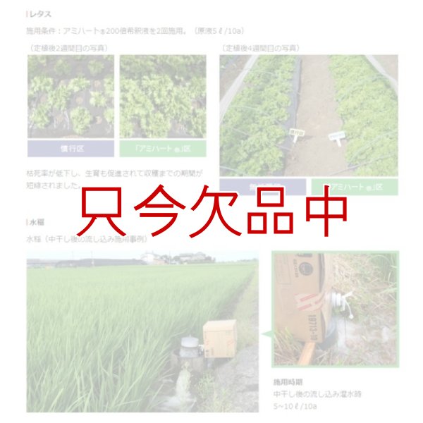 アミハート（N3.6-核酸3.0）【20kg】発根促進肥料｜味の素株式会社