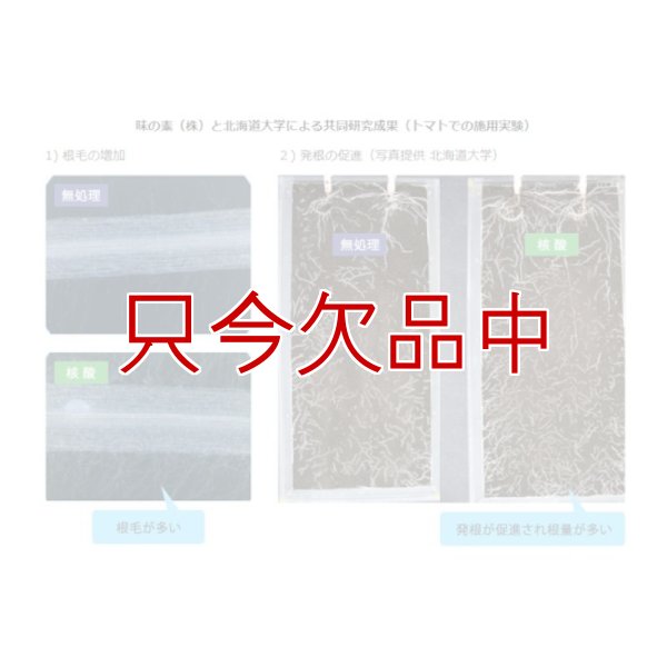 アミハート（N3.6-核酸3.0）【20kg】発根促進肥料｜味の素株式会社