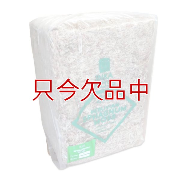 ペルー産ミズゴケ[AAAA級] 【5kg / 400L】Inka Moss【プレミアム水苔】