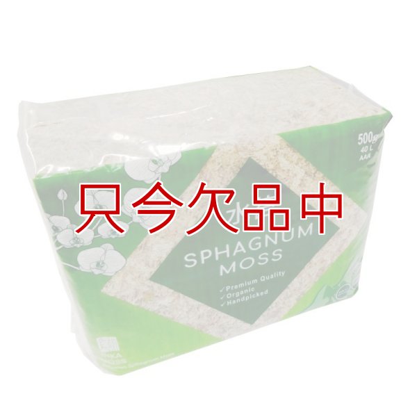 ペルー産ミズゴケ[AAA級] 【500g / 40L】Inka Moss【プレミアム水苔】