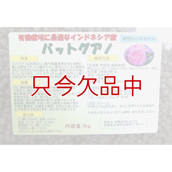 インドネシア産バットグアノ