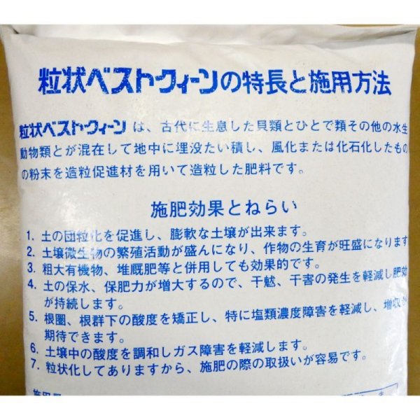 北陸産天然貝化石 - ベストクイーン(粒状)【20kg】