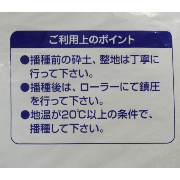 ローズグラス|カタンボラ普通種子