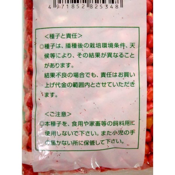 サイレージコーン|飼料用トウモロコシ(中早生種)|NS118スーパー