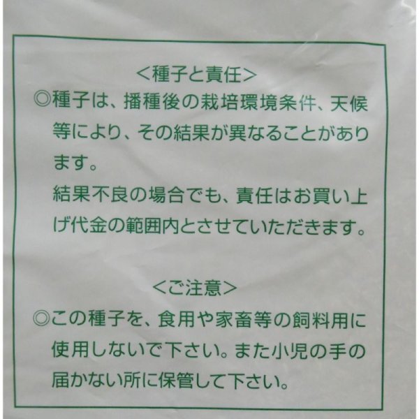 ローズグラス|カタンボラ普通種子