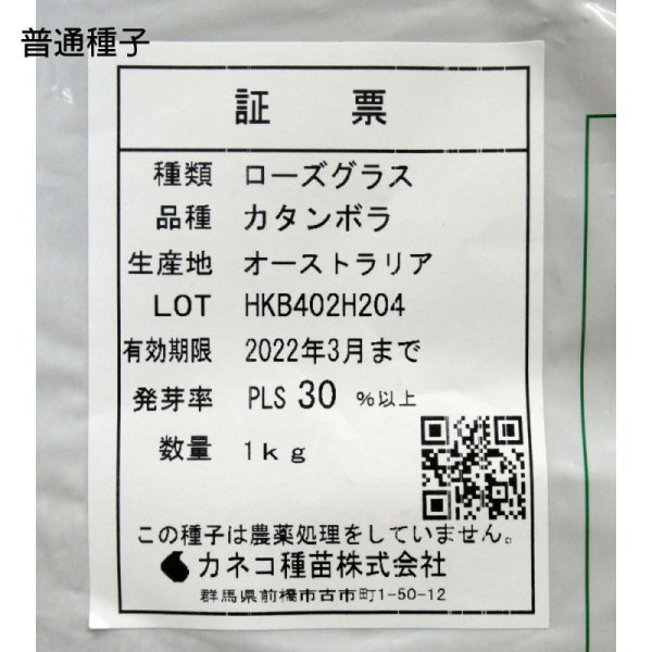 ローズグラス|カタンボラ普通種子