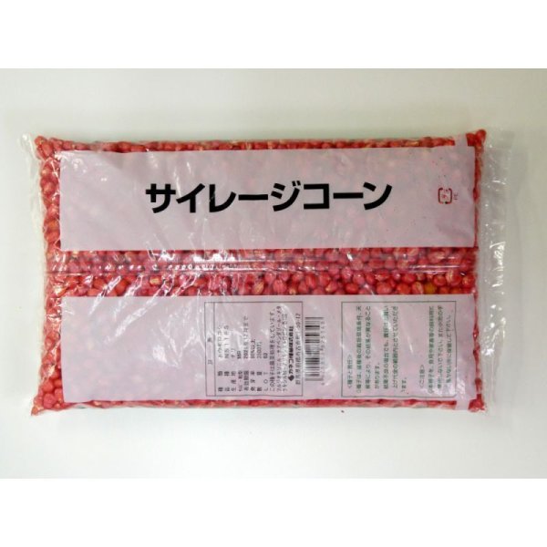 サイレージコーン|飼料用トウモロコシ(中早生種)|NS118スーパー