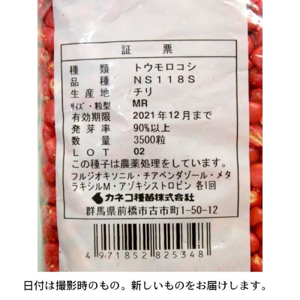 サイレージコーン|飼料用トウモロコシ(中早生種)|NS118スーパー