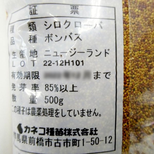 シロクローバ|ボンバス(大葉種)