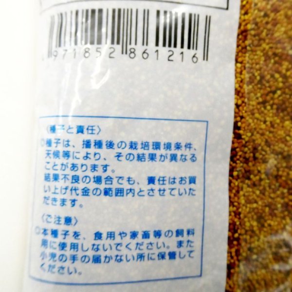 シロクローバ|ボンバス(大葉種)