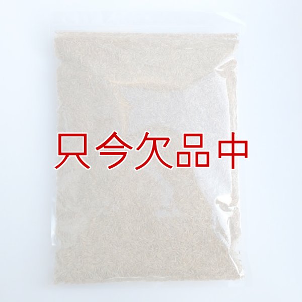 Ｊ．ガーデングラスタフグリーン【1.5L】