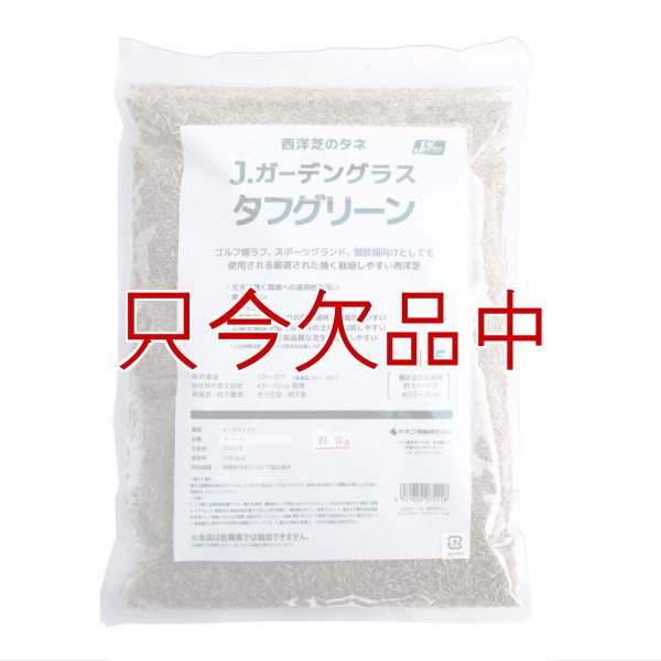 Ｊ．ガーデングラスタフグリーン【1.5L】