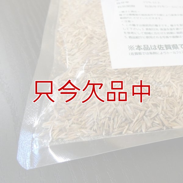 Ｊ．ガーデングラスタフグリーン【1.5L】