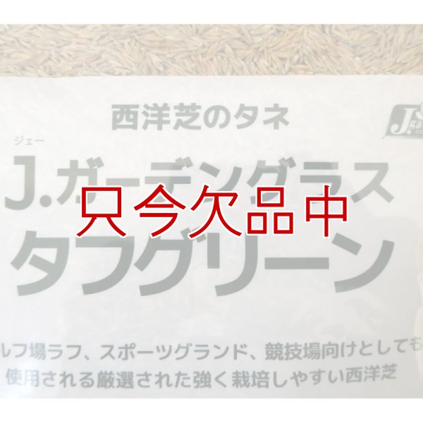 Ｊ．ガーデングラスタフグリーン【1.5L】
