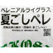 【新発売】【牧草種子】ペレニア新品種｜夏ごしペレ【1kg】