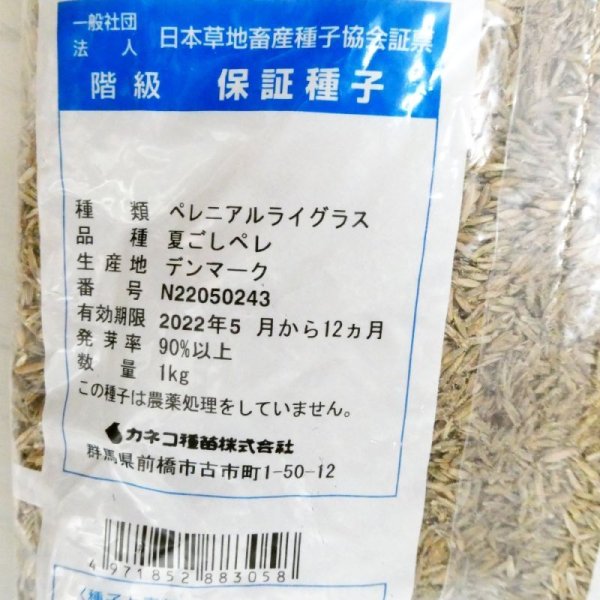 【新発売】【牧草種子】ペレニア新品種｜夏ごしペレ【1kg】