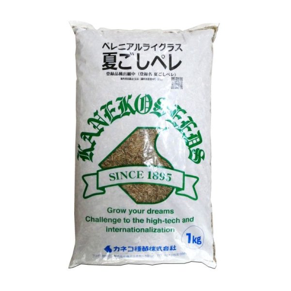 【新発売】【牧草種子】ペレニア新品種｜夏ごしペレ【1kg】