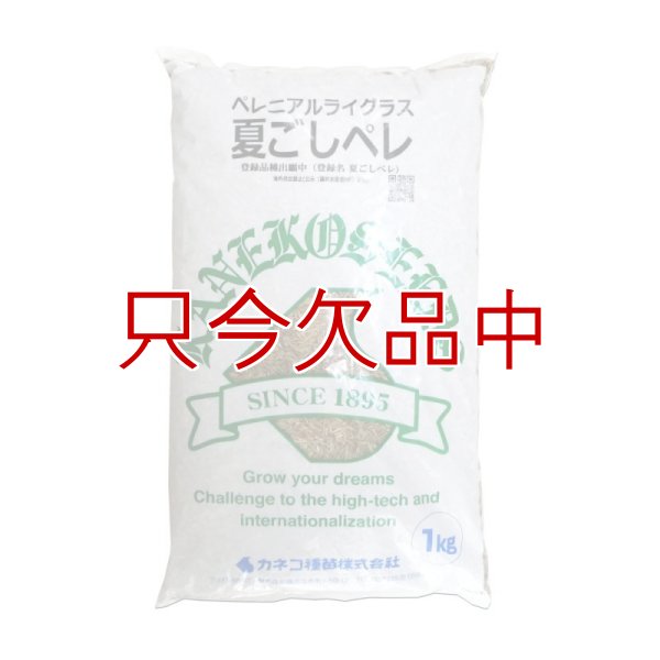 【新発売】【牧草種子】ペレニア新品種｜夏ごしペレ【1kg】