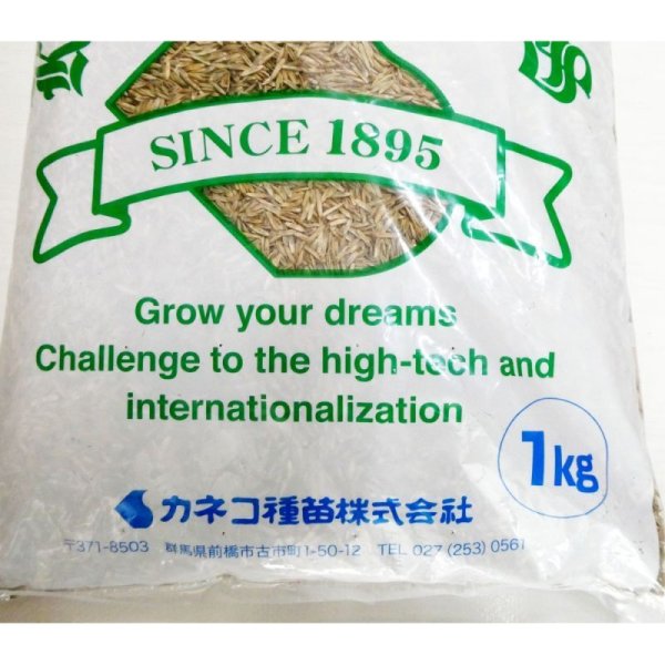 【新発売】【牧草種子】ペレニア新品種｜夏ごしペレ【1kg】