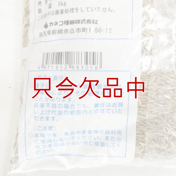 【新発売】【牧草種子】ペレニア新品種｜夏ごしペレ【1kg】