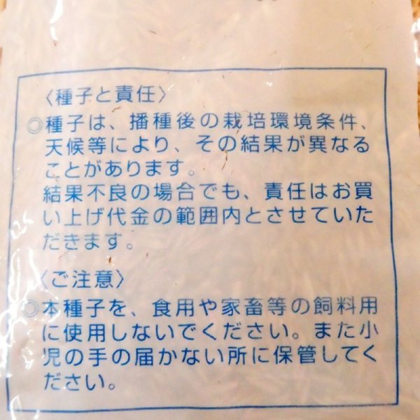 【牧草種子】ハイブリットライグラス|ハイフローラ【中生種】カネコ種苗製