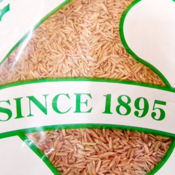 【牧草種子】ハイブリットライグラス|ハイフローラ【中生種】カネコ種苗製