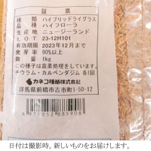 【牧草種子】ハイブリットライグラス|ハイフローラ【中生種】カネコ種苗製