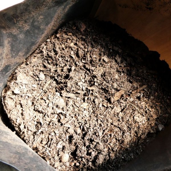 栃木県産-完熟腐葉土【200L(20Lx10袋)】木の葉100%|国産ふるい通し腐葉土