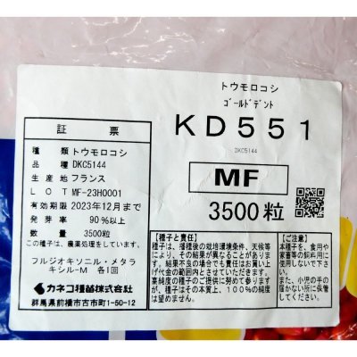 画像3: 【牧草種子】ゴールドデント｜KD551 [RM105] 3500粒/約500平方ｍ分｜茎葉、子実ともに多収品種｜カネコ種苗製