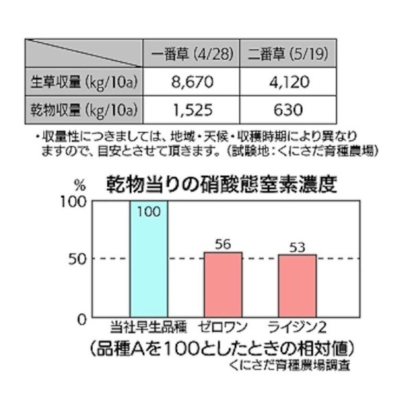 【牧草種子】F1・イタリアンライグラス|ライジン2【早生種/短期利用型】カネコ種苗製