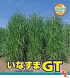 イタリアンライグラス｜いなずまGT【早生種】【1kg】
