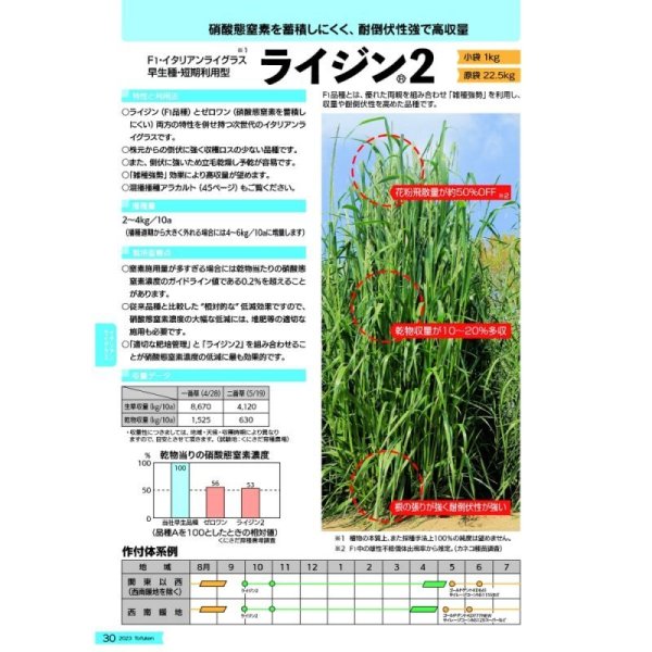 【牧草種子】F1・イタリアンライグラス|ライジン2【早生種/短期利用型】カネコ種苗製
